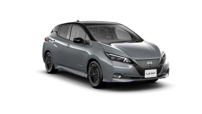 リーフのステルスグレー×スーパーブラック