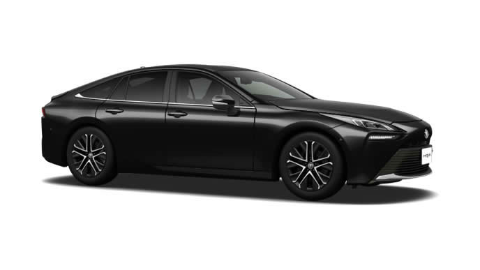 ミライのプレシャスブラックパール