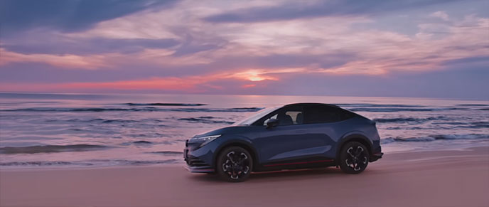 リーフNISMOの全景